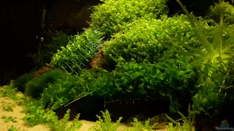 10. Tag von Marc Joist (7)