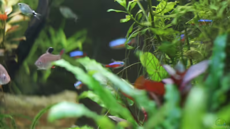 10.01.2015 von Jonas (Trancemania) (19)