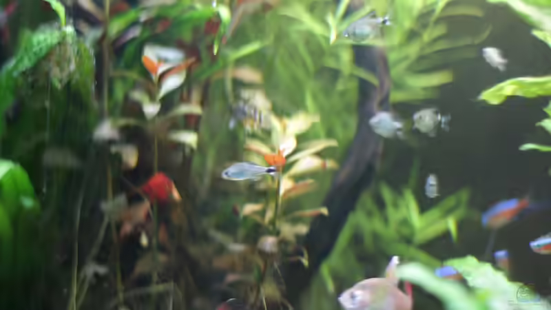 10.01.2015 von Jonas (Trancemania) (22)