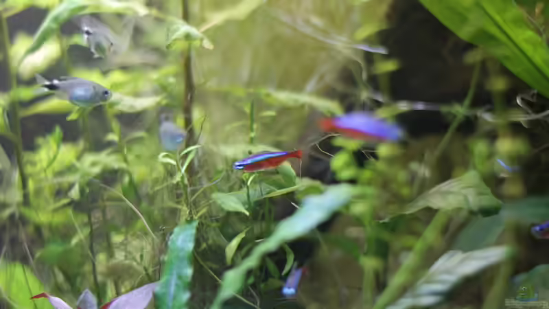 10.01.2015 von Jonas (Trancemania) (23)