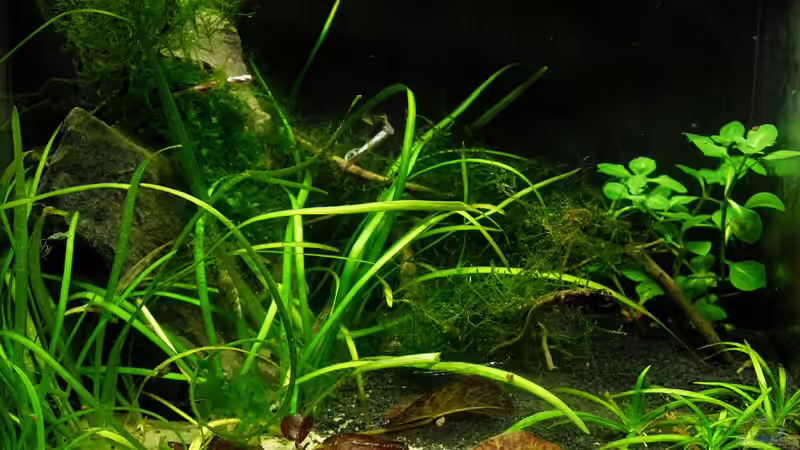 10-02-10 von Mario74 (4)