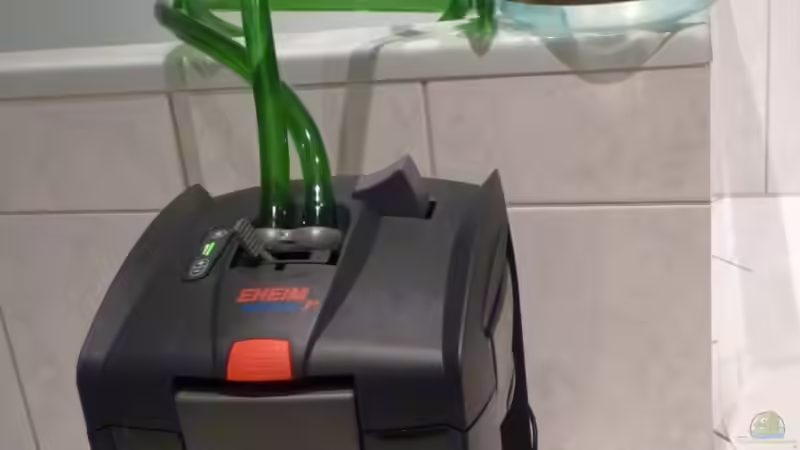 10.02.2010 neuer EHEIM-Filter am testen von lützkopf (14)