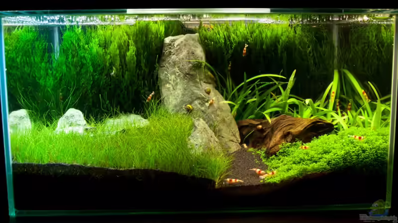 10.02.2011 von Maik A. (1)