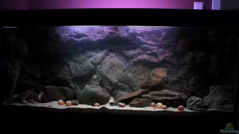 10.02.2013 Becken befüllt von Koehler (5)