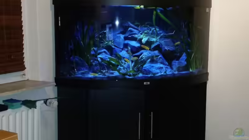 10.02.2015 von Gunnar2060 (6)