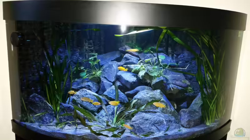 10.02.2015 von Gunnar2060 (7)