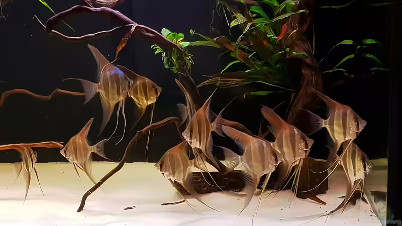 10.02.2019 von Dani B (15)