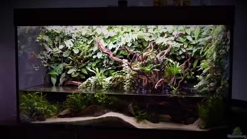 10.02.2022 von Junglist (4)