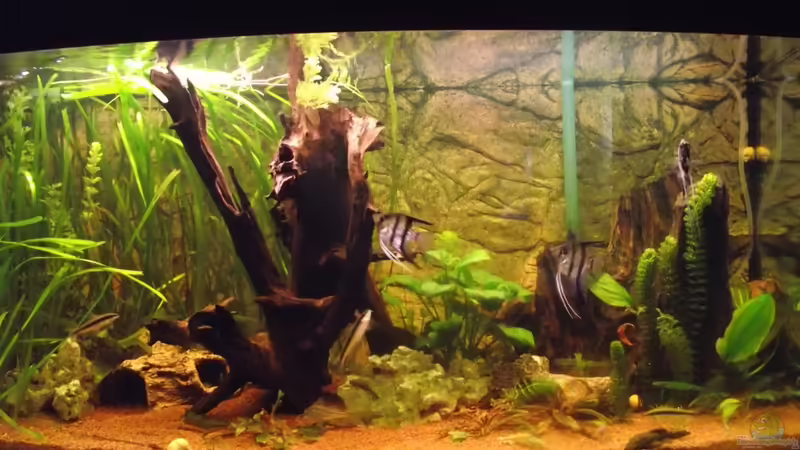 10.03.2012 von Detlef Peter (4)