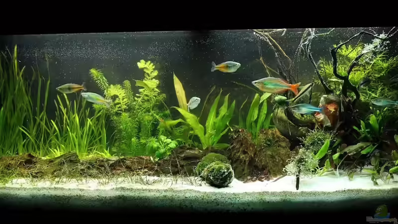 10.03.2013 Becken Status Gesamt von David B (14)