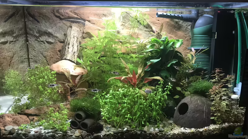 10.03.2019 von Bessey (6)