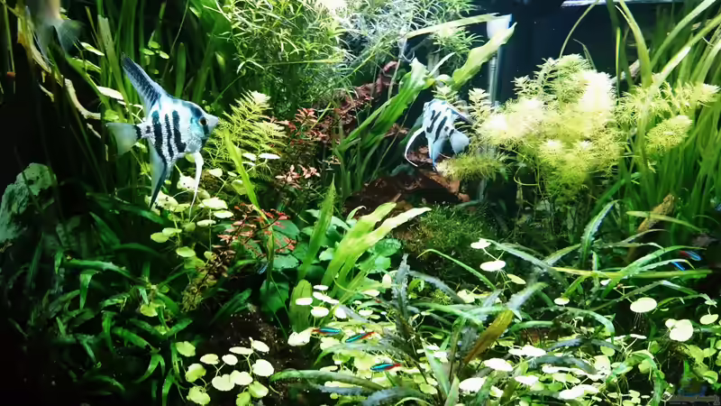 10.03.2019 von Helene (10)