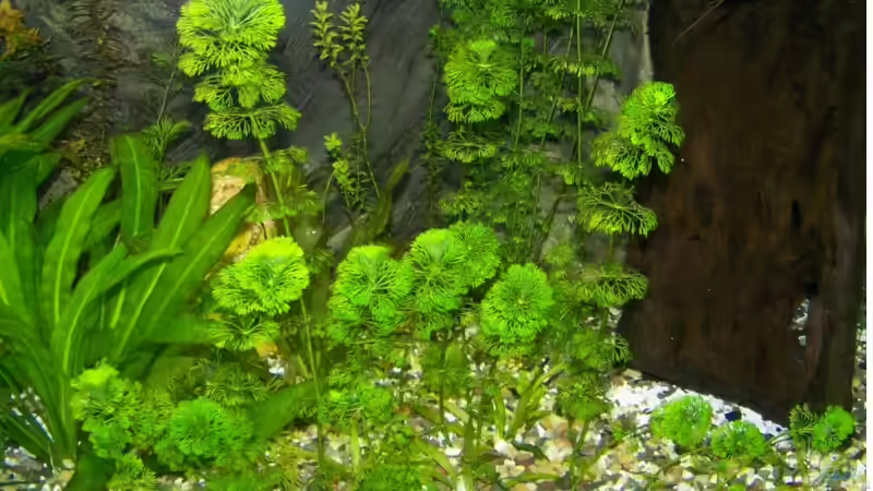 10.04.09 von Silke (22)