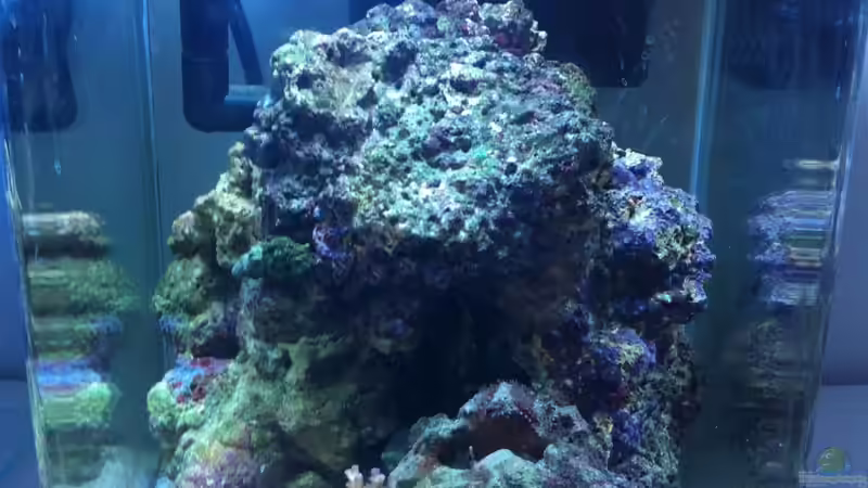 10.04.2012 von Sebastian Philipp (6)