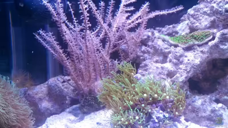 10.04.2013 von Moepple (5)