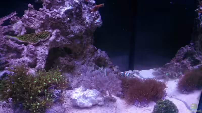 10.04.2013 von Moepple (6)