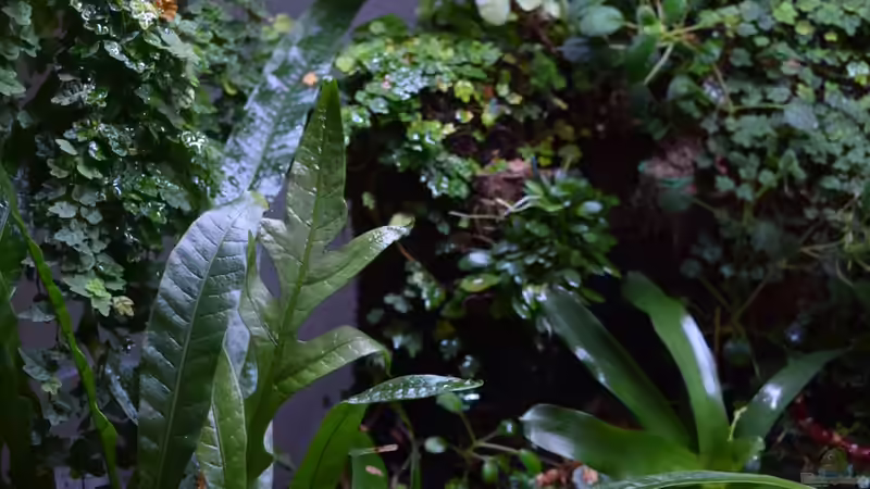 10.04.2016 von Junglist (48)