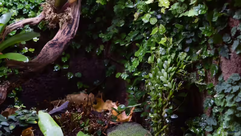 10.04.2016 von Junglist (49)