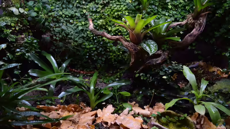 10.04.2016 von Junglist (50)