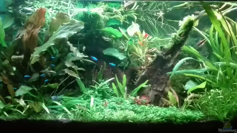 10/04/2020 von Lance Hardwood (2)