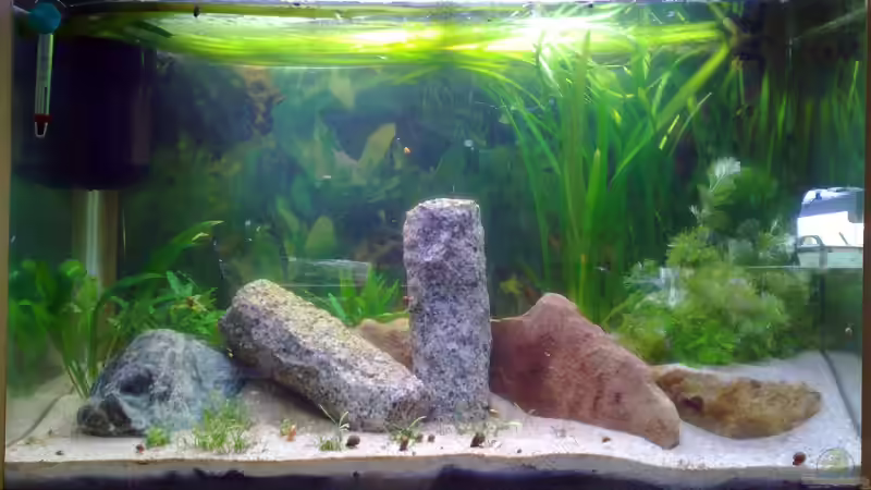 10.05.2009 von Welslau (3)