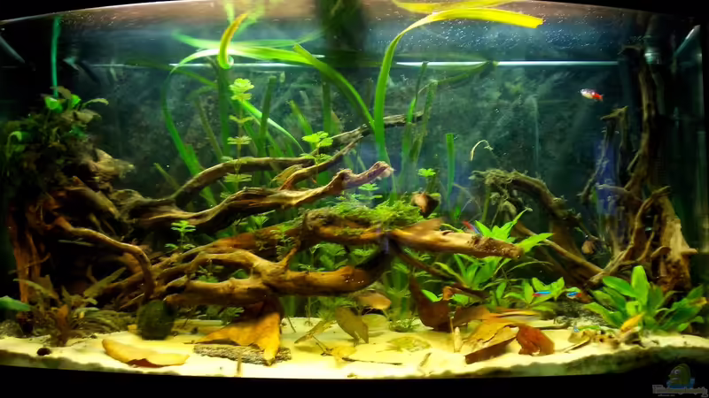 10.05.2012 von Koehler (17)