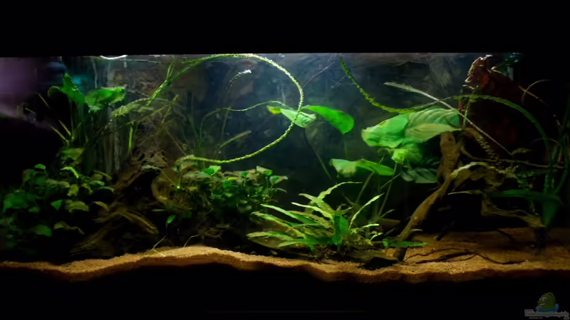 10.05.2012 von Koehler (8)