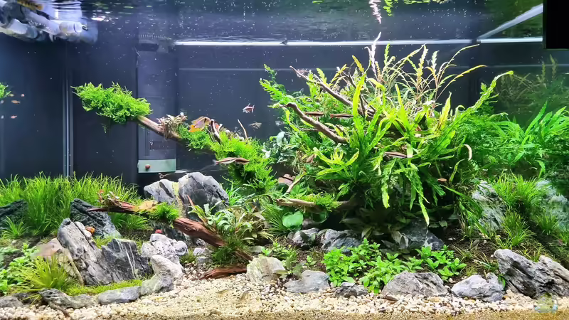 10.05.2022 von Comander (11)