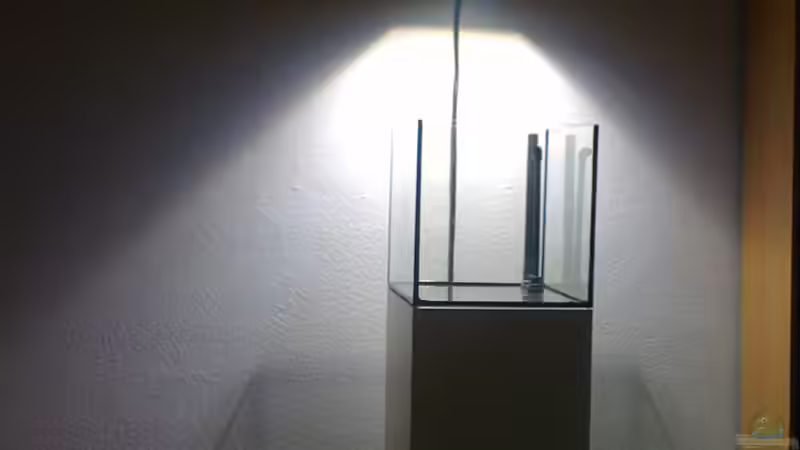 10.06.10 von Hai Dang Ngo (9)