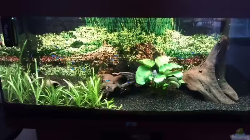 10.07.11 von Pulle (6)