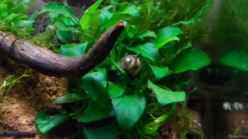 10.07.2012 von Koehler (20)