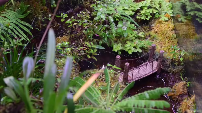 10.07.2018 von Junglist (3)