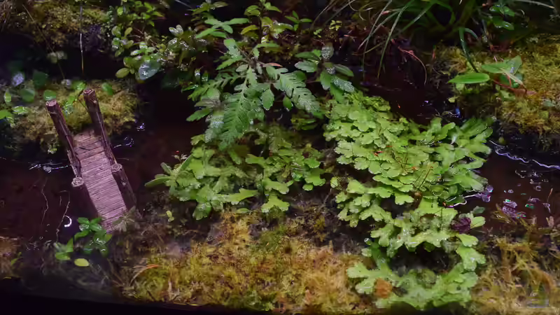 10.07.2018 von Junglist (51)