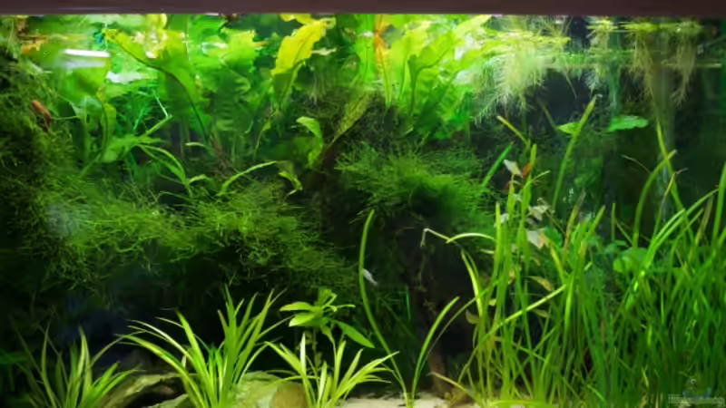 10.08.08 von Sebastian W. (6)