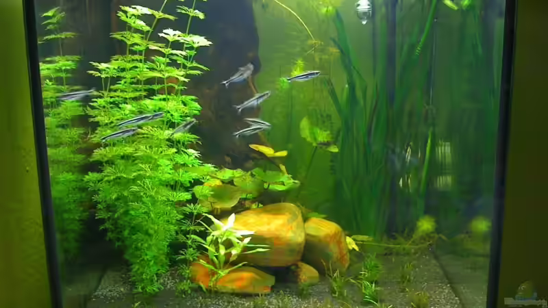 10.08.09 von ml69 (5)