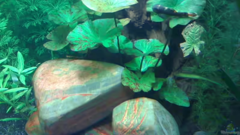 10.08.09 von ml69 (7)