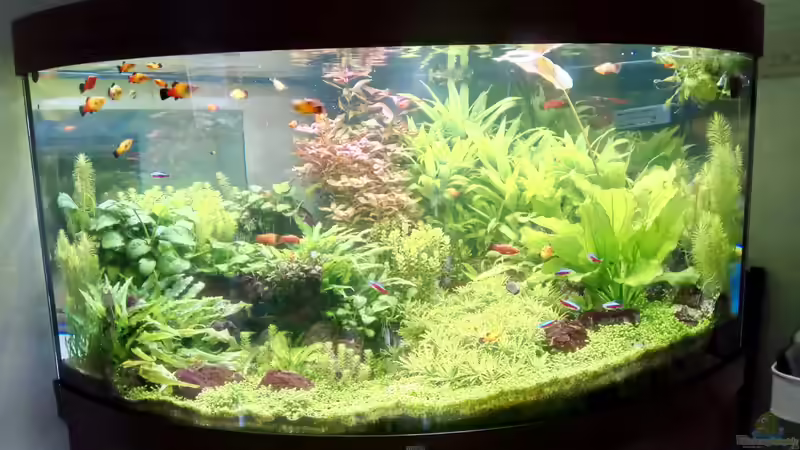 10.08.20 von Rob Rüh (3)