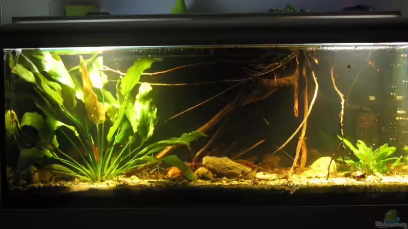 10.08.2017 Gesamtansicht von der Theoretiker (6)