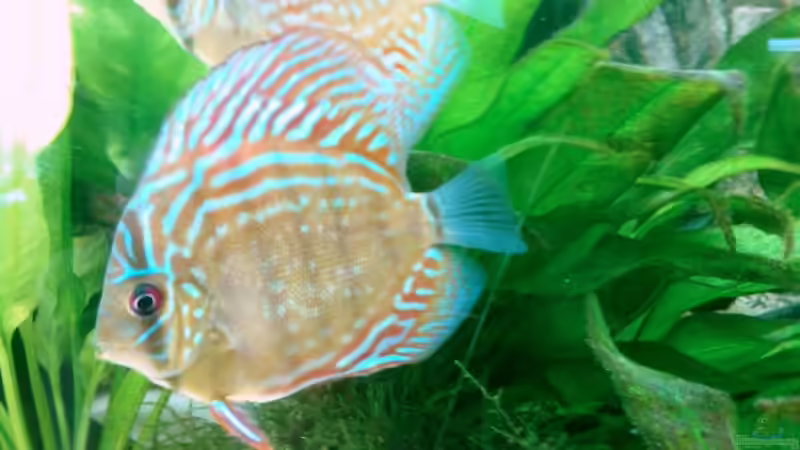 10.08 von Solitary (24)