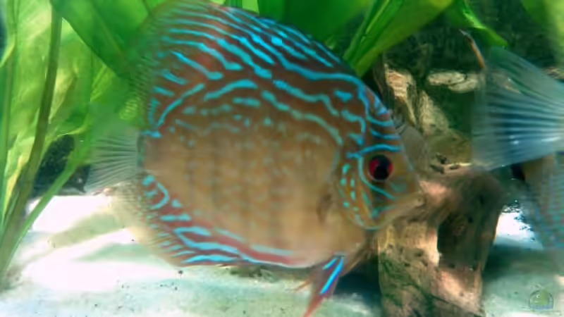 10.08 von Solitary (25)