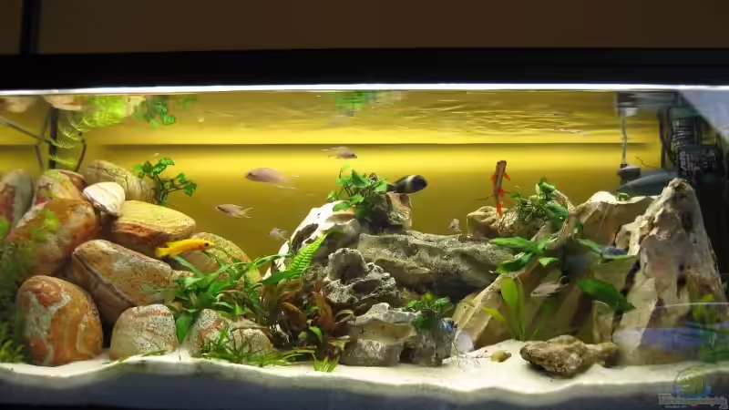 10.09.08 von Bene92 (1)