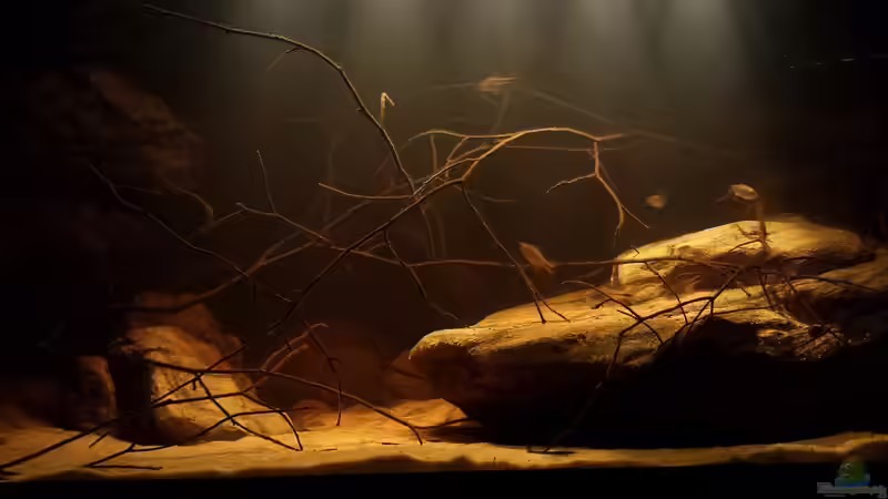 10.09.14 von Laura (39)