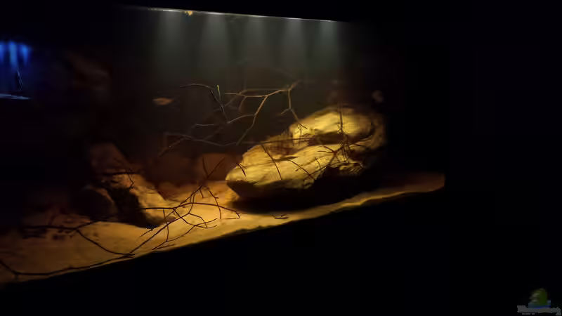 10.09.14 von Laura (61)