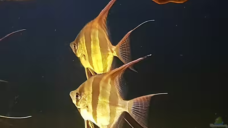 10.09.18 von Dani B (17)