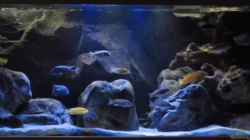 10.09.2014 von Steffen G (13)