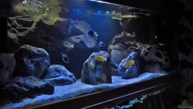 10.09.2014 von Steffen G (14)