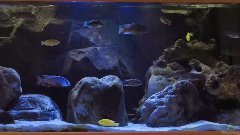 10.09.2014 von Steffen G (15)