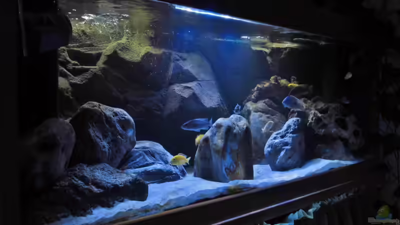 10.09.2014 von Steffen G (16)