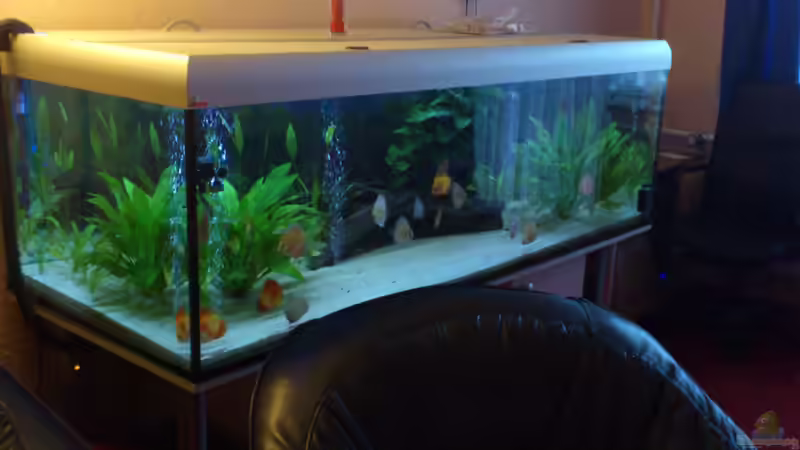 10.1.2013 bild 2 von Cliff Lehmann (15)