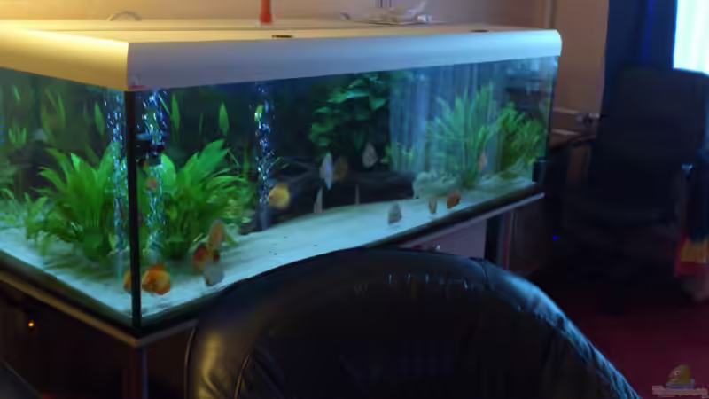 10.1.2013 bild 3 von Cliff Lehmann (16)